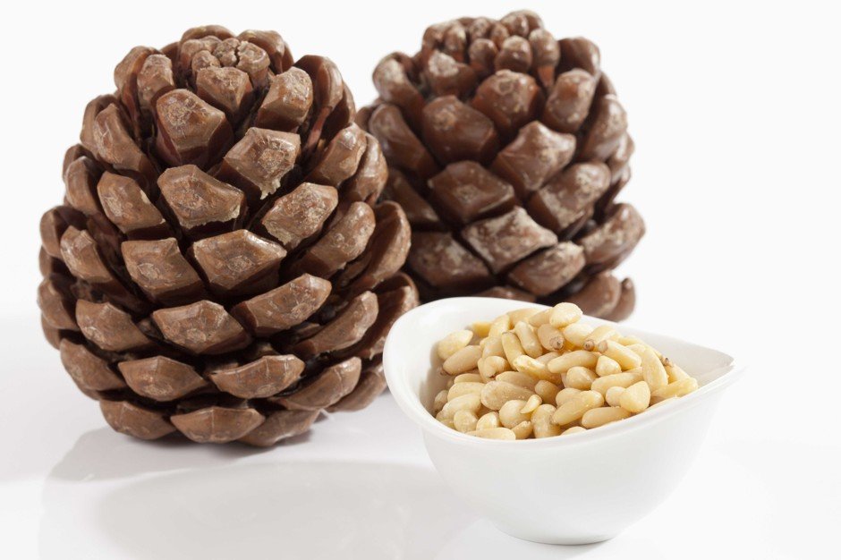 Как хранить кедровые орехи в домашних условиях зимой и сколько