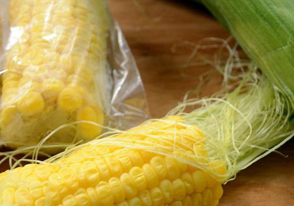 Как хранить кукурузу на зиму свежую и вареную в початках и зернах