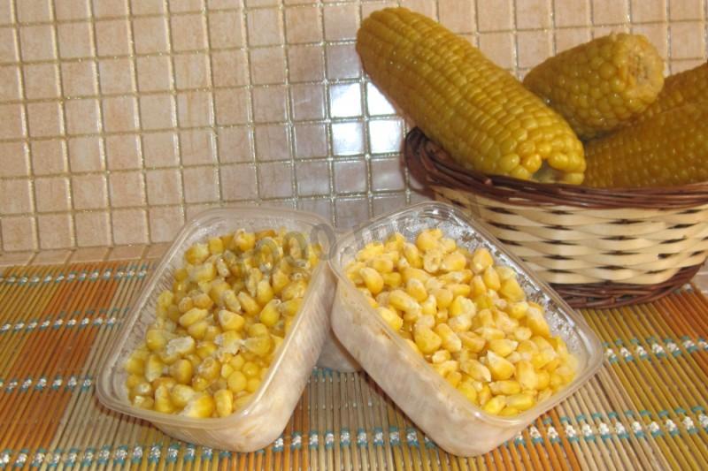 Как хранить кукурузу на зиму свежую и вареную в початках и зернах