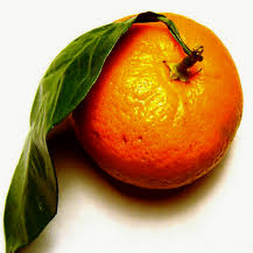 Клементины и мандарины: в чем разница между этими цитрусовыми и откуда их привозят