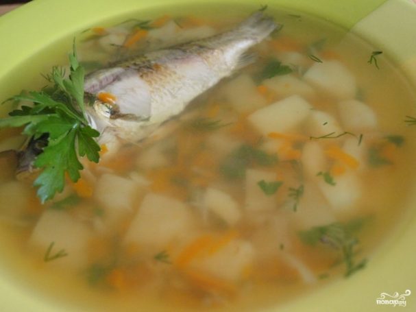 Суп из хека по-домашнему – вкусный и простой рецепт рыбной ухи с фото